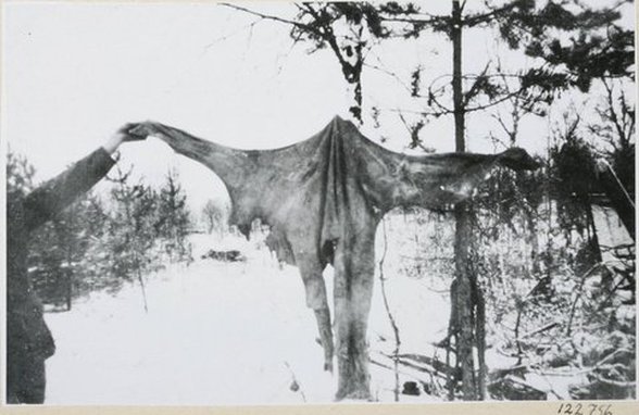 2. Dünya Savaşı'nda Finli asker yenilmiş Rus askerinin derisini göstermektedir.