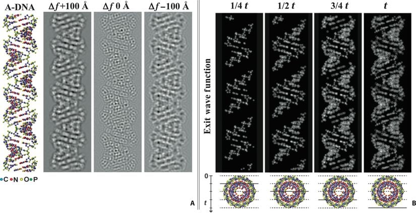 En yüksek çözünürlüklü DNA fotoğraflarından birisi... (2015)