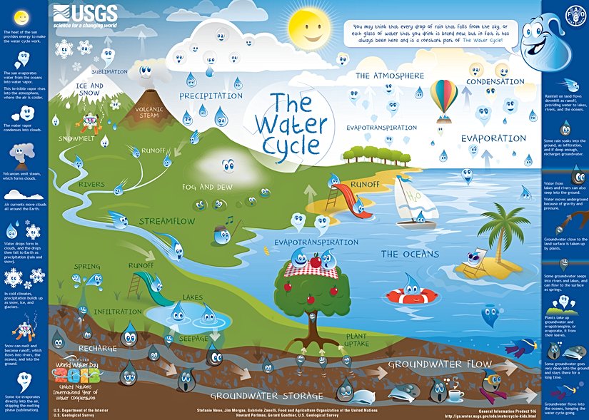 Children's Water Cycle Poster