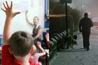 Sheffield school closures & disruption LIVE: Latest updates after heavy snowfall