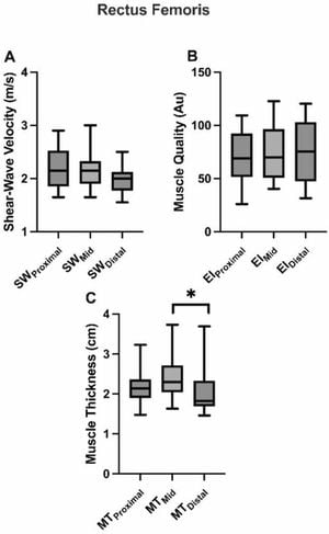 Study Reveals Muscle Size Variations Impact Force Production