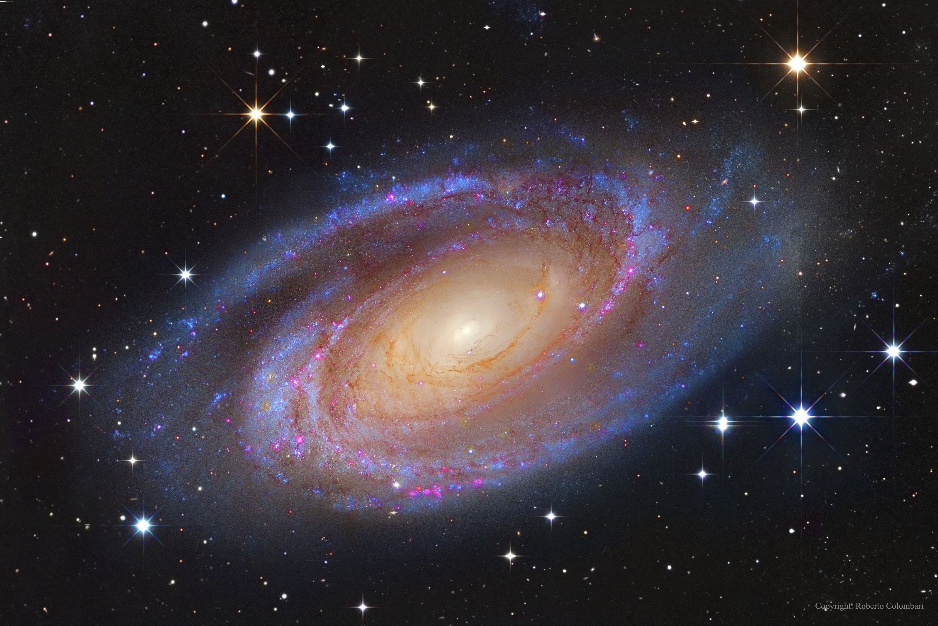  Bright Spiral Galaxy M81 