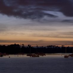 Venus Returns to the Evening Sky