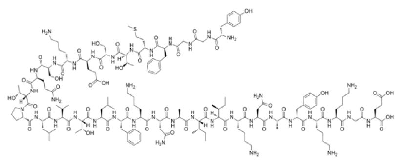 Beta-Endorfin