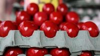 Τα παραδοσιακά πασχαλινά προϊόντα στη Γερμανία είναι ακριβότερα φέτος