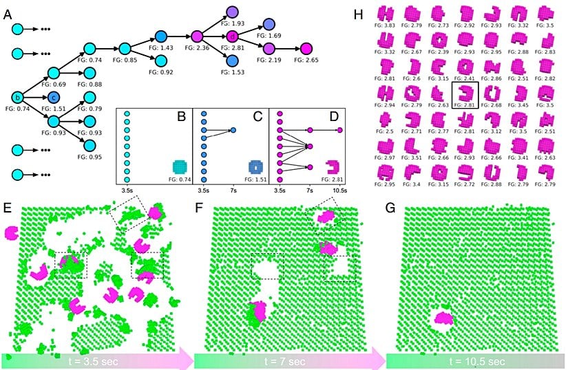 Kendi kendine üremenin evrimi