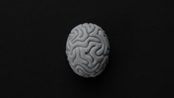 Her nöropatologun bilmesi gerekenler: klinik demans sendromları için yoğunlaştırılmış protokol incelemesi