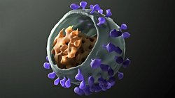 İyi Bilim, İyi Bilimdir! COVID-19 Salgını, Yalnızca İyi Bir Bilim ile Yenilebilir!