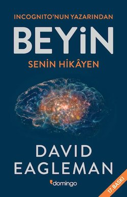 Beyin: Senin Hikayen