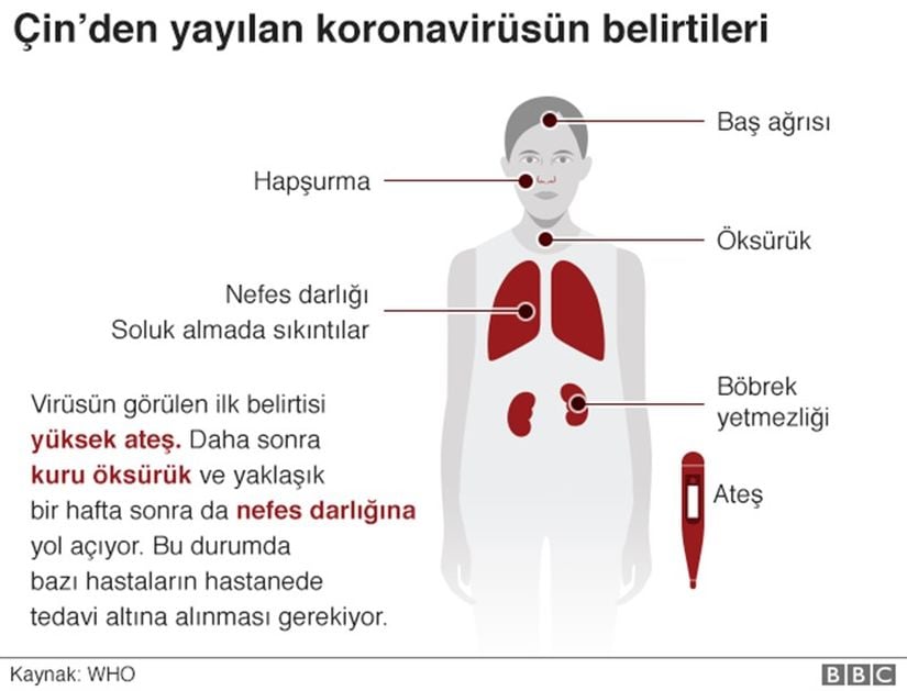 Yeni koronavirüsün en yaygın belirtileri.