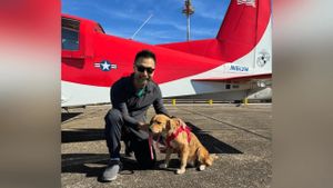 Animal Rescue Pilot Loses Life In Plane Crash