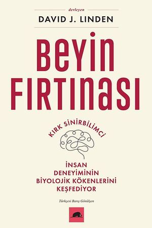 Beyin Fırtınası