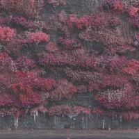Album: Sleep Token - Even In Arcadia