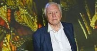 David Attenborough's top TV documentaries ever – no. 1 is totally unexpected