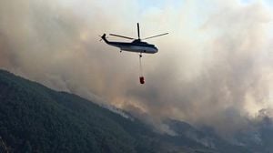 Gimhae And Ulju Forest Fires Prompt Urgent Response