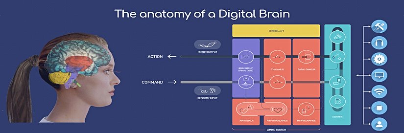 Human OS 2.0 Çalışma Yapısı