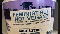 Kesişimsel Feminizm ve Veganizm :  Vegan Olmak Neden Feminist Bir Mücadeledir?