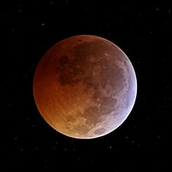 The Solstice Moon's Eclipse