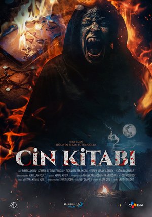 Cin Kitabı