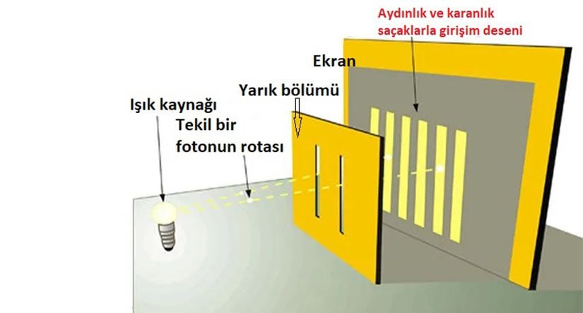 Çift yarık deneyinin şematik gösterimi