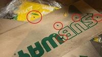 Workers protest rat infestation at Subway restaurant in Los Angeles
