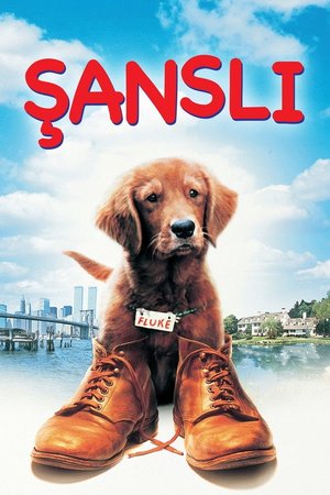 Şanslı