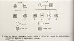 1. çiftin bir bebeği doğduktan hemen sonra 2. çiftin bir bebeği ile değiştirilmiştir değiştirilen bebeklerin numaraları nedir?