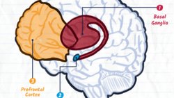 Uyuşturcunun Etkileri