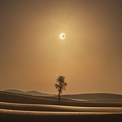  A Desert Eclipse 