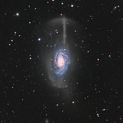 NGC 4651: The Umbrella Galaxy