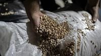 Iraq says tip-off to Lebanon led to destruction of amphetamine factory