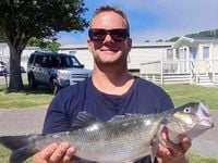 Death of Oasis fan at concert ruled as 