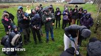 Coventry Tree Sanctuary plants Sycamore Gap sapling