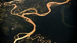 Kontrolsüz İklim Değişimi Amazon Ormanlarını Kurutacak ve Bu Kuruma, İklim Değişimini Hızlandıracak!