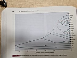 Bu fotoğraftaki genetik kavramlar ne oluyor?