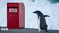 Antarctic scientists receive new post box sent from King Charles