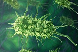 Bilim İnsanları, İklim Değişikliği Nedeniyle ABD'nin Bazı Bölgelerinde "Et Yiyen" Enfeksiyonlarda Ani Artış Olduğu Konusunda Uyardı