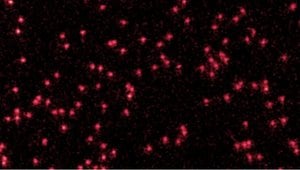 Fizikçiler İlk Kez Kendi Başına Atomların Dalga Gibi Davrandığı Net Bir Görüntü Yakaladı!