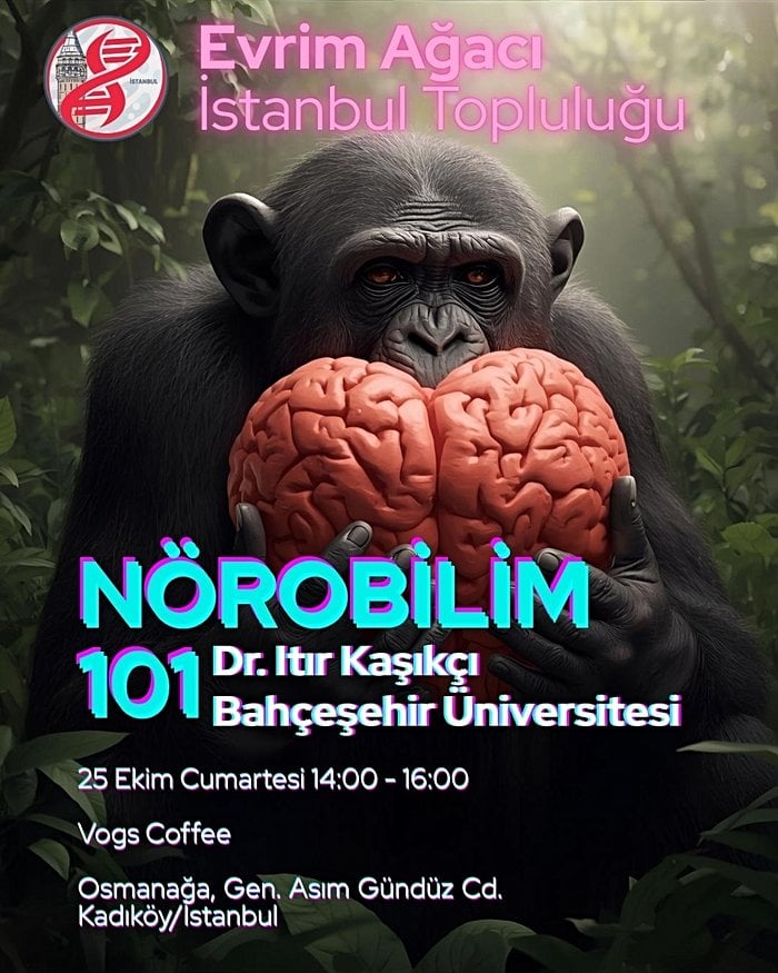 Nörobilim 101 - Evrim Ağacı İstanbul Topluluğu