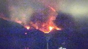 Forest Fires Erupt In Okayama And Ehime, Evacuations Ordered