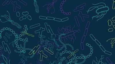 Anksiyeteyi Kalın Bağırsak Bakterileri Etkiliyor Olabilir!