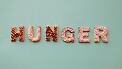 Açlık Üzerine Bir Kitap, Açlığı Derinden Hissettirebilir mi?
