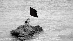 Bayrak:Uğrunda olanler değer miydi?