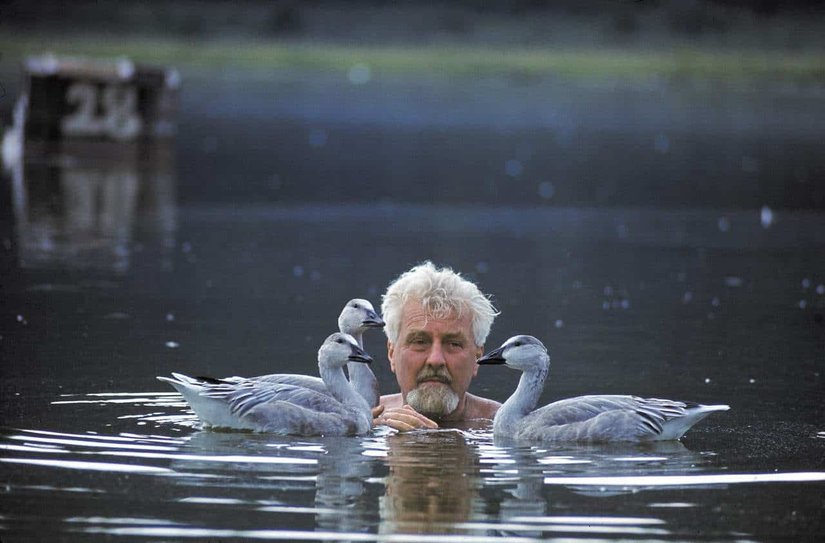 Konrad Lorenz ve kazları