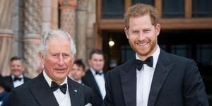 Prince Harry And King Charles Reunite After Nineteen Months