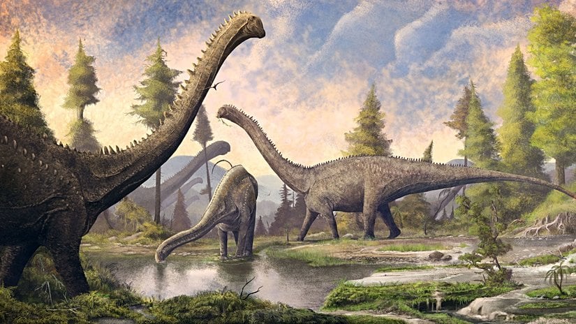 Bir grup Diplodocus