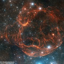 Simeis 147: Supernova Remnant from Palomar