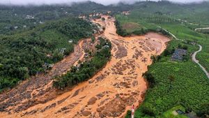 Kerala Chief Minister's Outrage Over Wayanad Disaster Aid Delays