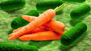 E. Coli Outbreak Linked To Organic Carrots Alarm Consumers