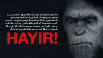 Maymunlar Cehennemi: Aldo ve Hayır!